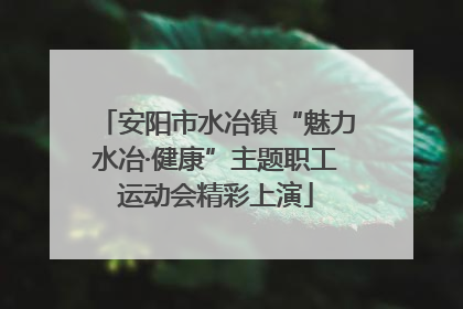 安阳市水冶镇“魅力水冶·健康”主题职工运动会精彩上演