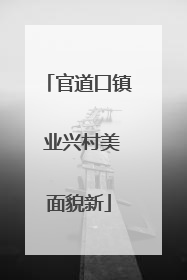 官道口镇 业兴村美面貌新