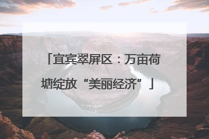 宜宾翠屏区：万亩荷塘绽放“美丽经济”