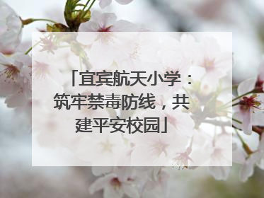 宜宾航天小学：筑牢禁毒防线，共建平安校园
