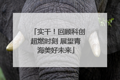 实干！回顾科创超燃时刻 展望青海美好未来