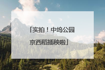 实拍！中坞公园京西稻插秧啦