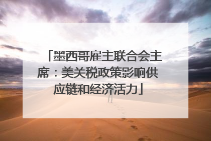 墨西哥雇主联合会主席：美关税政策影响供应链和经济活力