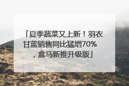 夏季蔬菜又上新！羽衣甘蓝销售同比猛增70%，盒马新推升级版