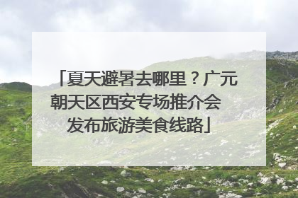 夏天避暑去哪里？广元朝天区西安专场推介会 发布旅游美食线路