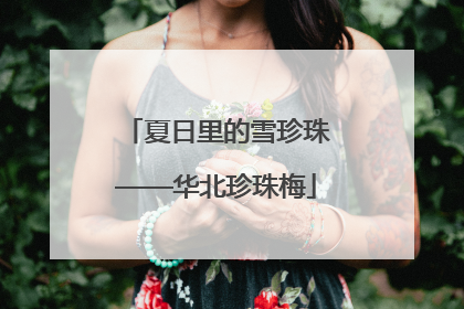 夏日里的雪珍珠——华北珍珠梅