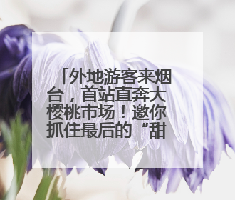 外地游客来烟台，首站直奔大樱桃市场！邀你抓住最后的“甜蜜”