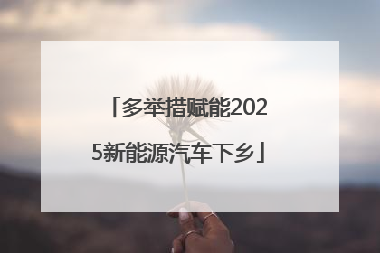 多举措赋能2025新能源汽车下乡