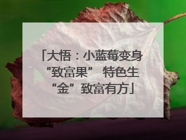 大悟：小蓝莓变身“致富果” 特色生“金”致富有方