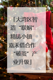 大湾区智造“联姻”精铸小镇 嘉禾借合作“破茧”产业升级