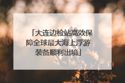 大连边检站高效保障全球最大海上浮游装备顺利出境