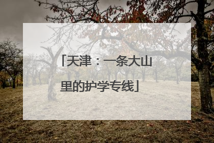 天津：一条大山里的护学专线