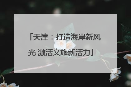 天津：打造海岸新风光 激活文旅新活力