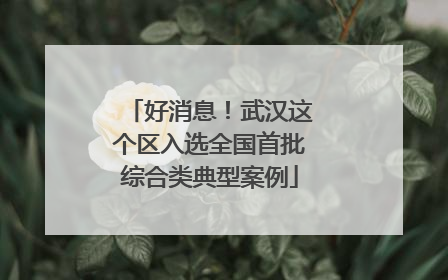 好消息！武汉这个区入选全国首批综合类典型案例