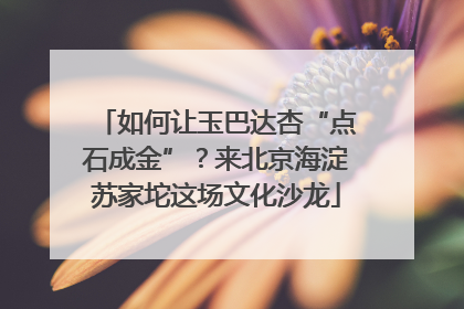 如何让玉巴达杏“点石成金”？来北京海淀苏家坨这场文化沙龙