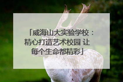 威海山大实验学校：精心打造艺术校园 让每个生命都精彩