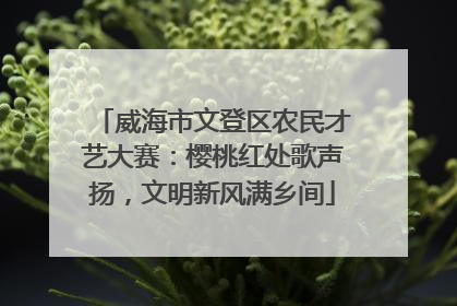 威海市文登区农民才艺大赛：樱桃红处歌声扬，文明新风满乡间