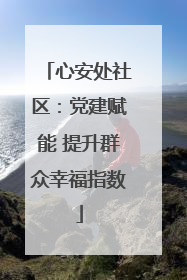心安处社区：党建赋能 提升群众幸福指数
