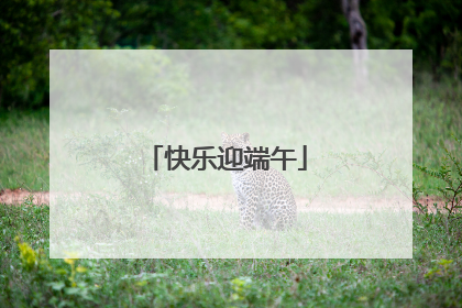 快乐迎端午