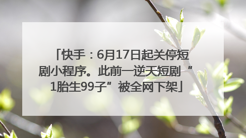 快手：6月17日起关停短剧小程序。此前一逆天短剧“1胎生99子”被全网下架