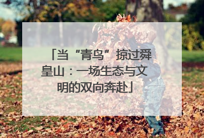 当“青鸟”掠过舜皇山：一场生态与文明的双向奔赴