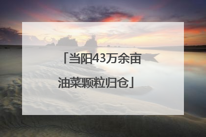 当阳43万余亩油菜颗粒归仓