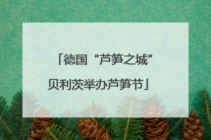 德国“芦笋之城”贝利茨举办芦笋节