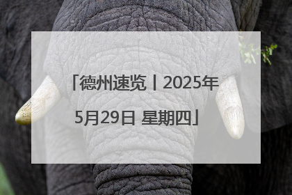 德州速览丨2025年5月29日 星期四