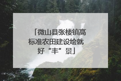 微山县张楼镇高标准农田建设绘就好“丰”景