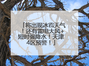 将出现冰雹天气！还有雷电大风+短时强降水！天津4区预警！
