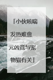 小伙咳喘发热难愈 元凶竟与宠物猫有关