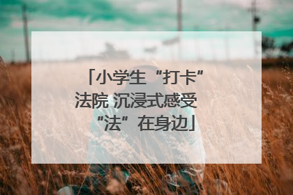 小学生“打卡”法院 沉浸式感受“法”在身边