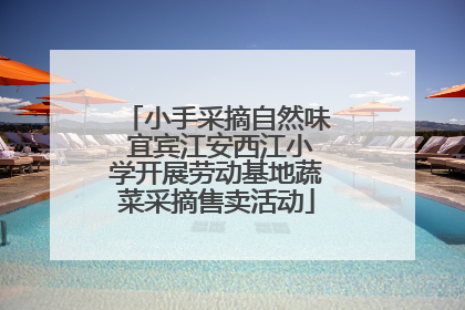 小手采摘自然味 宜宾江安西江小学开展劳动基地蔬菜采摘售卖活动