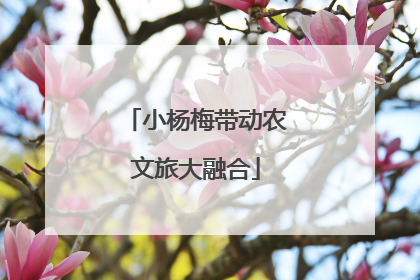 小杨梅带动农文旅大融合