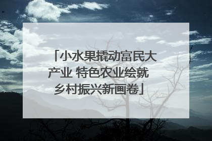 小水果撬动富民大产业 特色农业绘就乡村振兴新画卷