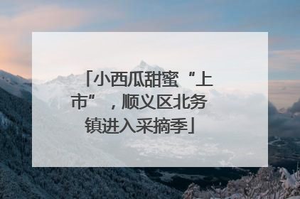 小西瓜甜蜜“上市”，顺义区北务镇进入采摘季