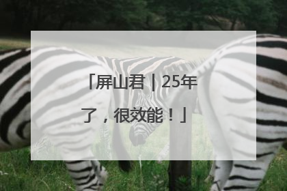 屏山君｜25年了，很效能！