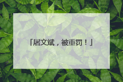 屠文斌，被重罚！