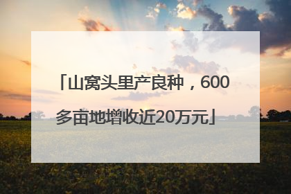 山窝头里产良种，600多亩地增收近20万元