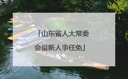 山东省人大常委会最新人事任免