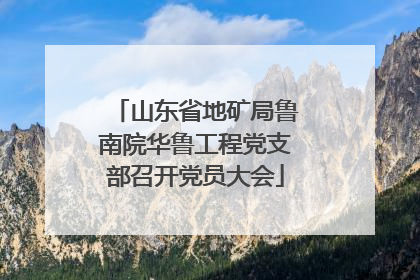 山东省地矿局鲁南院华鲁工程党支部召开党员大会