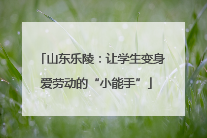山东乐陵：让学生变身爱劳动的“小能手”