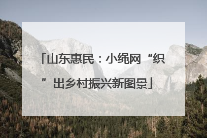 山东惠民：小绳网“织”出乡村振兴新图景