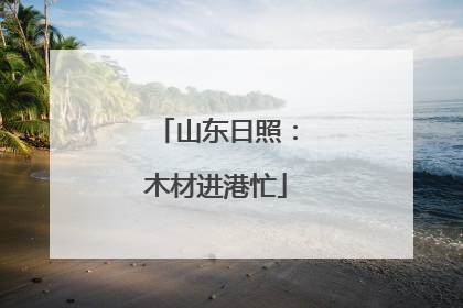 山东日照：木材进港忙