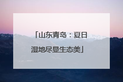 山东青岛：夏日湿地尽显生态美
