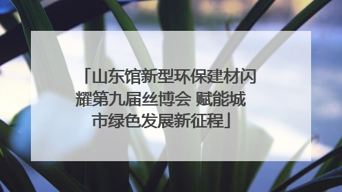 山东馆新型环保建材闪耀第九届丝博会 赋能城市绿色发展新征程
