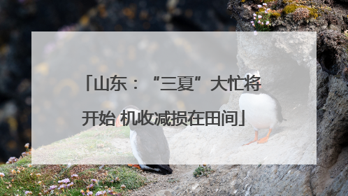山东：“三夏”大忙将开始 机收减损在田间