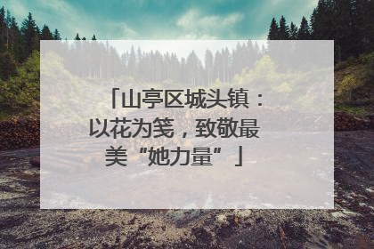 山亭区城头镇：以花为笺，致敬最美“她力量”