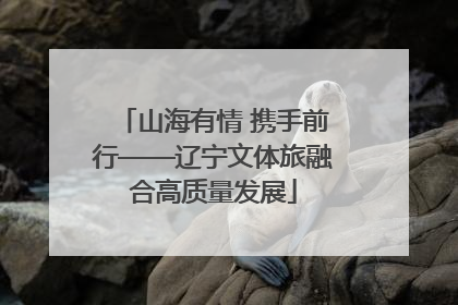 山海有情 携手前行——辽宁文体旅融合高质量发展