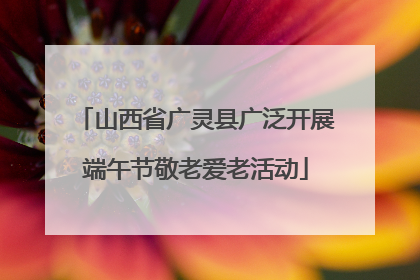 山西省广灵县广泛开展端午节敬老爱老活动